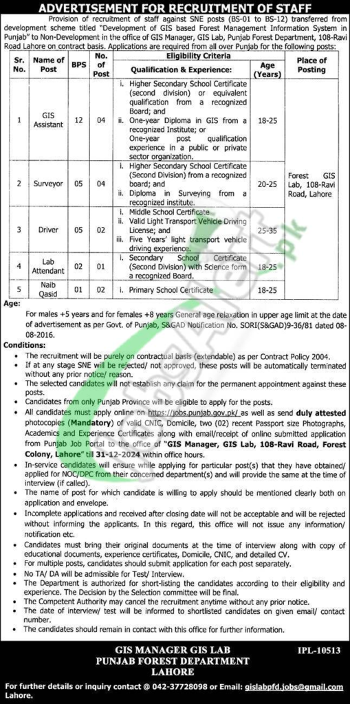 Fort Munro Cadet College DG Khan Jobs 2024