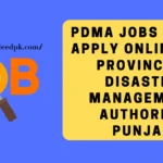 PDMA Jobs 2024 – Apply Online for Provincial Disaster Management Authority Punjab