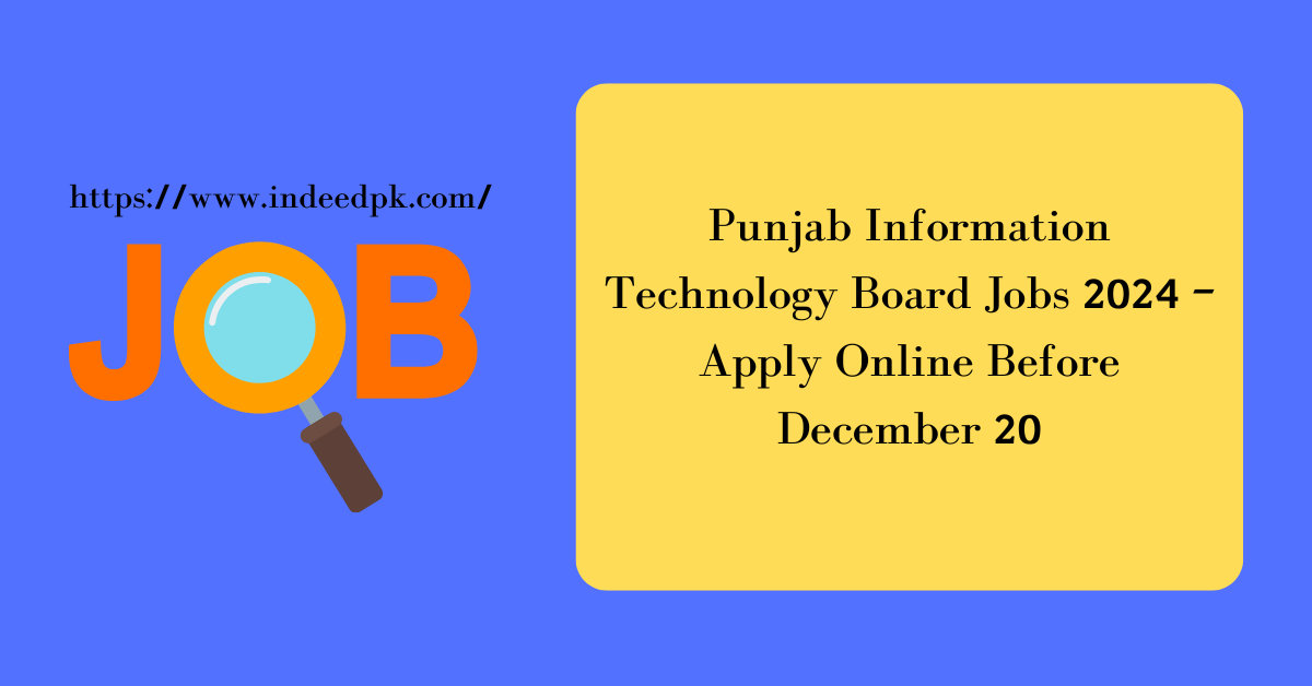 Punjab Information Technology Board Jobs 2024