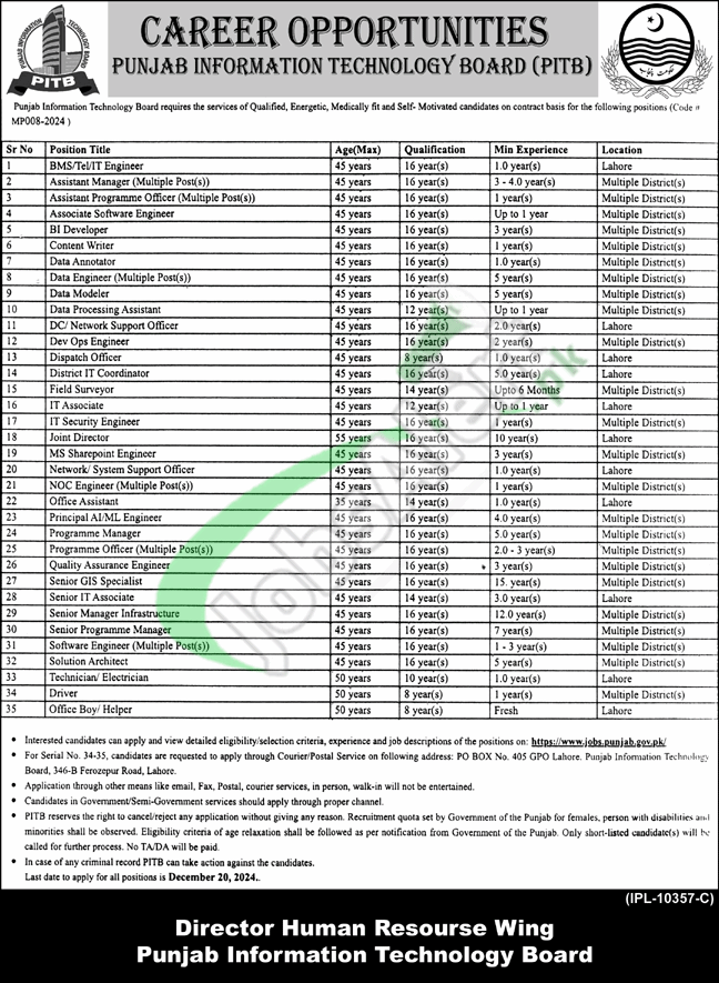 Punjab Information Technology Board Jobs 2024